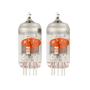 �����z�B EVH ECC83/12AX7 TUBES