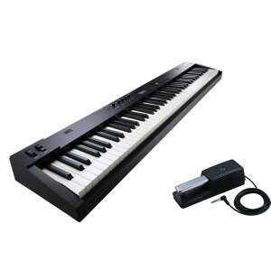 Roland RD-08 y_Zbg zvmFykbdsetz