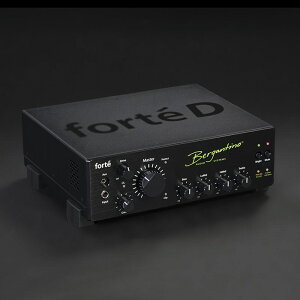 Bergantino forte D yNX}XZ[z