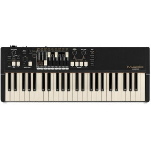 HAMMOND M-solo (49ՁEnhh[o[IK)