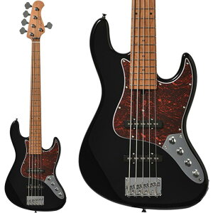 Bacchus yב҂A\tz WJB5-1DX-AC RSM/M (BLK)