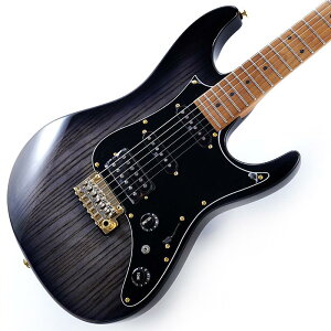 Ibanez Prestige AZ2204AG-TGB (Transparent Gray Burst) ���L�Y�L������i