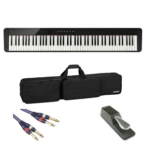 CASIO JVI PX-S1100BKy_p[y_P[XZbgz(dqsAm)