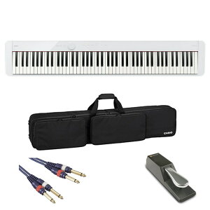 CASIO JVI PX-S1100WEy_p[y_P[XZbgz(dqsAm)