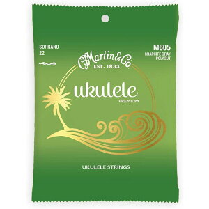 MARTIN Graphite Gray Polygut M605 [\vmpEN]