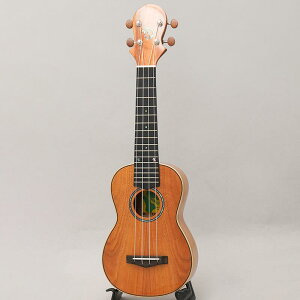 BIG ISLAND KM-SPG rbOACh