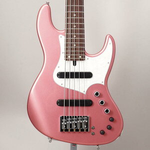 Xotic XJ-1T 24F 5st (BGM/Alder/R)