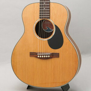 EASTMAN PCH2-TG Traveler C[Xg}