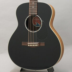 EASTMAN PCH2-TG-BK Traveler C[Xg}