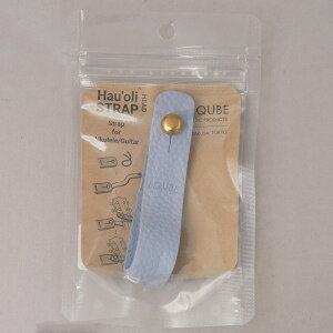 AQUBE MUSIC PRODUCTS nEI EN&M^[wbhXgbv240 (ICE LAVENDER) ANr