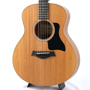TAYLOR GS Mini Mahogany �e�C���[
