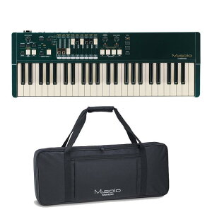 HAMMOND yFzM-solo BRGyueBbV[VO O[z(49ՁEnhh[o[IK)+p\tgP[XZbg