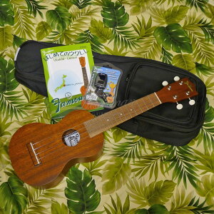 Famous 【数量限定特価】【今なら純正弦1セットサービス!】FS-1G 【初心者セット】 フェイマス