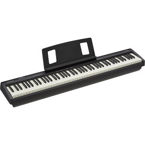 Roland FP-10 (FP-10-BK) [h dqsAm fW^sAm (Aꕔւ̂͂͑ʓrς)