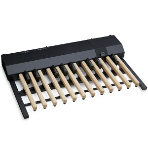 HAMMOND XPK-200GL�y���������y�_���L�[�{�[�h�z