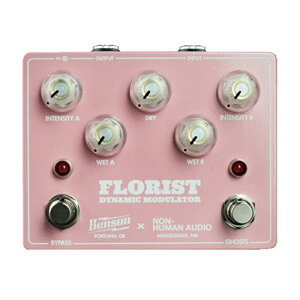 Benson Amps �yWEB����GW���i�z�yWEB����݌ɏ����Z�[���z Florist �i�t���[���X�g �f�B���C ���W�����[�V���� �x���\��)