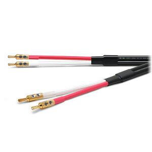 Oyaide ACROSS3000 SGB/3.0m(�o�i�i�v���O�[�q�t���X�s�[�J�[�P�[�u��)