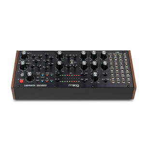 moog ���[�O Labyrinth (���r�����X) �p�������W�F�l���[�e�B�u �A�i���O�V���Z�T�C�U�[ (�Z�~���W�����[)