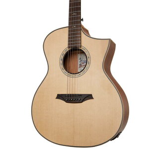 Bromo Guitars BAT4CE �u����