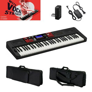 CASIO CT-S1000VyP[XZbgz(dqsAm)