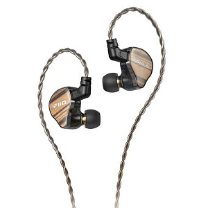 FiiO JH13 Black (�u���b�N)(�t�B�[�I)(�L���C���z��)(�C�����j)(IEM)(BA�^)(�o�����X�h�A�[�}�`���A)(3�h���C�o�[)(�[�u���E�b�h)(�C���C���[���j�^�[)(FIO-IEM-JH13-B)