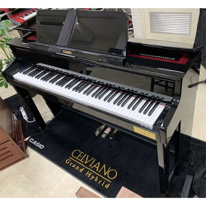 CASIO �y�Ẵ{�[�i�X�Z�[���z�J�V�I GP-510BP CELVIANO Grand Hybrid (1�����E�W���N���A�����X������!)(1�s3����{�z���ݒu������)(C.�x�q�V���^�C���R���{���f��)(3�N�ۏ�)