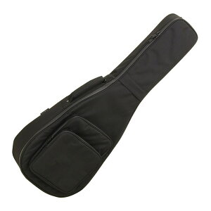 ARIA ABC-300CF (Black) [NVbNtH[NM^[p]