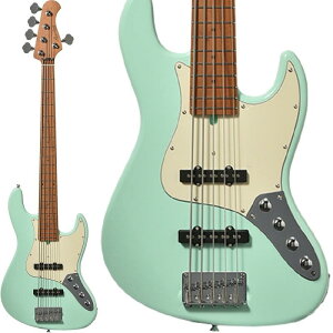 Bacchus yב҂A\tz WJB5-1DX-AC RSM/M (SFB)