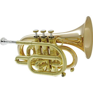 CAROL BRASS �L�������u���X / N3000 GB �yBb �|�P�b�g�g�����y�b�g�z�y�o�בO�����ň��S�z