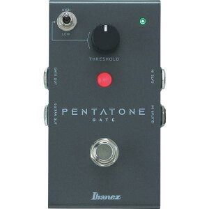 Ibanez PTGATE ���{�������i