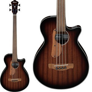 Ibanez AEGB24FE-MHS [SPOT MODEL]