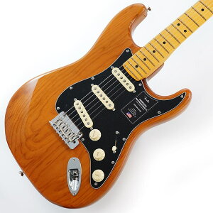 Fender USA American Professional II Stratocaster (Roasted Pine/Maple)