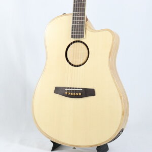 L.R.Baggs AEG-1 NAT GA[obNX