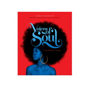 EAST WEST Voices of Soul (C[XgEGXg)\tgEFA (s)(IC[i)