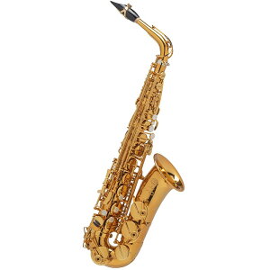 Selmer Paris アルトサックス セルマー Supreme シュプレーム DGL(ダークゴールドラッカー) 【調整&セットアップ後出荷】【5年間キーバランス調整無料】
