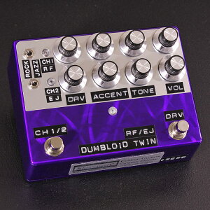 shin�fs music DUMBLOID TWIN RF/EJ Custom Purple Scratch �yGuitars Station Order Model�z