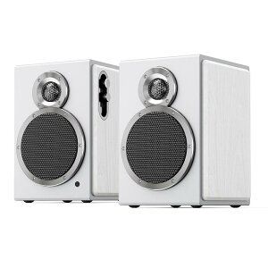 FiiO SA1 White (�z���C�g)(�t�B�[�I)(�f�X�N�g�b�v�X�s�[�J�[)(Bluetooth)(20W)(�z�[���I�[�f�B�I)(FIO-SA1-W)