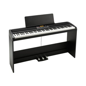 KORG XE20SP yszyEʓrςzy񂹏iz
