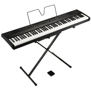 zB KORG yňSALEzLiano(L1SP) (䐔) s Eʓr