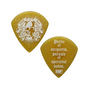 ESP Artist Pick Series lynch. �扛 Model PA-LR12