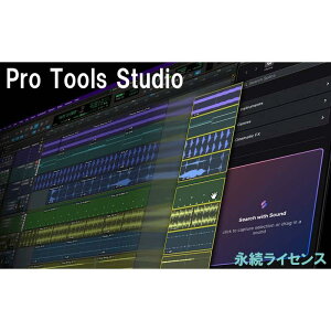 AVID Pro Tools Studio Perpetual �i�����C�Z���X (4935-00612-00_N)(�I�����C���[�i)