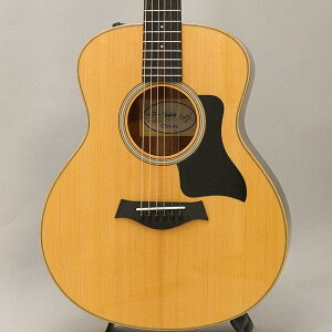 TAYLOR yNX}XZ[zy`CLYzGS Mini-e Rosewood Plus