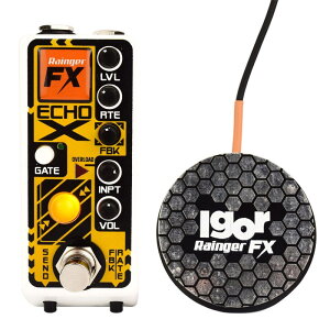 zB Rainger FX y݌ɏzEcho X [Gated Digital Delay]