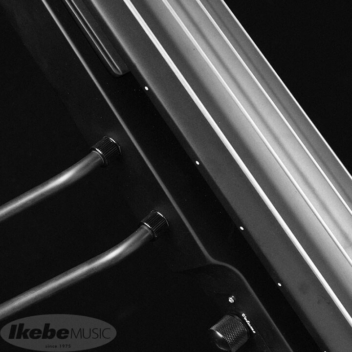楽天市場】翌日配達 Hallstatt WBSE-850 (BLK) [アップライトベース 