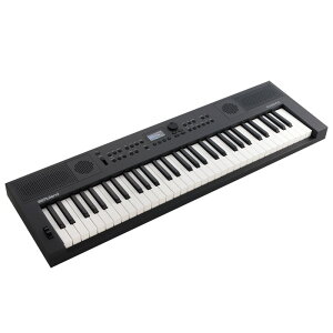Roland GOKEYS5-GT (GO:KEYS 5) Music Creation Keyboard(s)