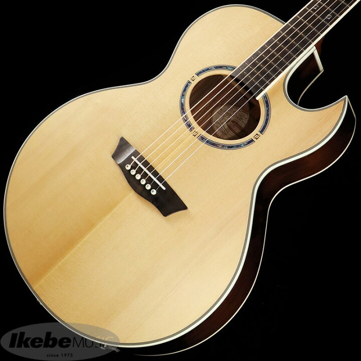 4/29まで【値下げ】Washburn アコースティックベース （楽天市場 