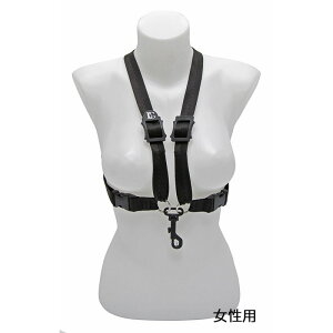 BG r[W[ TbNXpXgbv n[lX S41SH mp/XibvtbNn