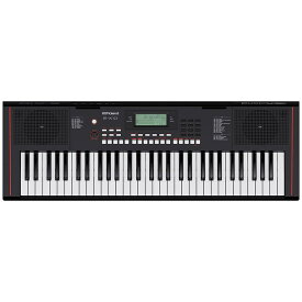 Roland E-X10(Arranger Keyboard)