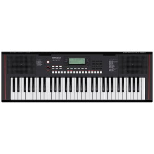 Roland E-X10(Arranger Keyboard)