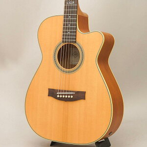 MATON Master Built TE Personal Cutaway ���C�g��